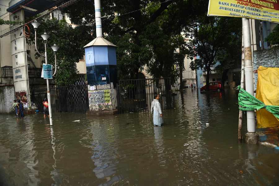 A waterlogged trident lamppost at the gate of the Medical College and Hospital in Calcutta on Tuesday.