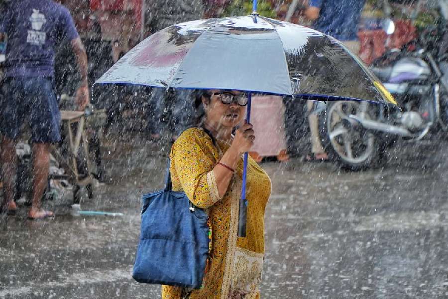 Lake Market on Wednesday morning