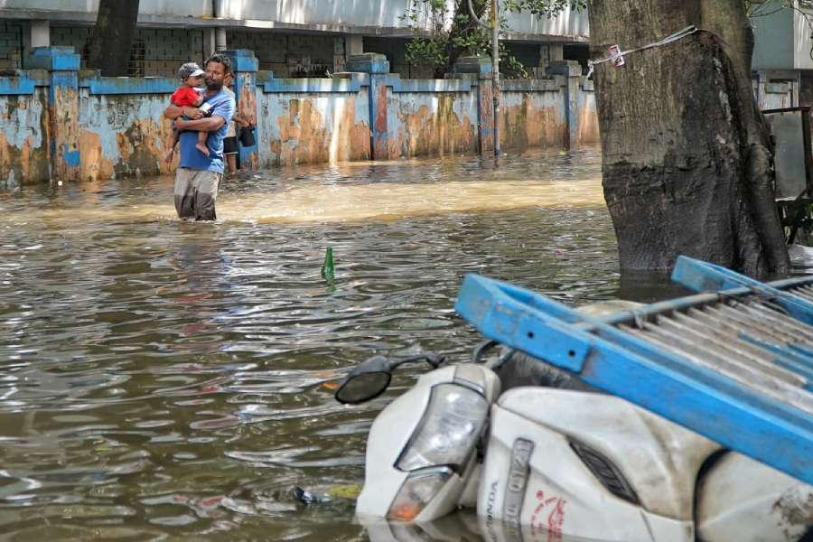Mandeville Gardens on Wednesday morning