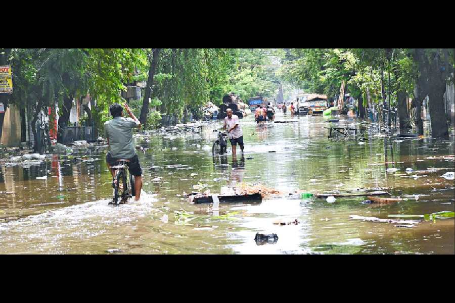 Cyclists and pedestrians negotiate a flooded stretch of Amherst Street on Wednesday afternoon.
