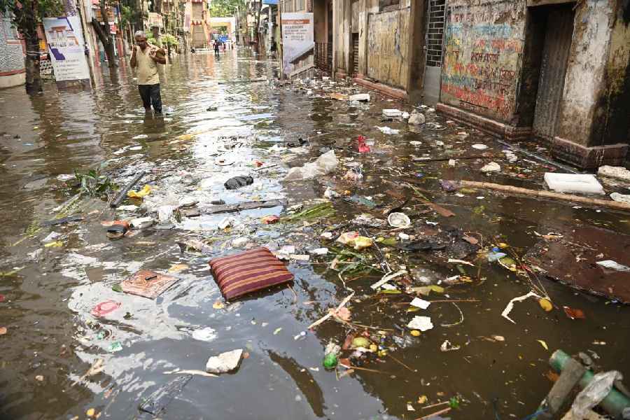 Knee-deep water overflowing with filth on Amherst Street on Wednesday. On some stretches, the water was up to the waist.