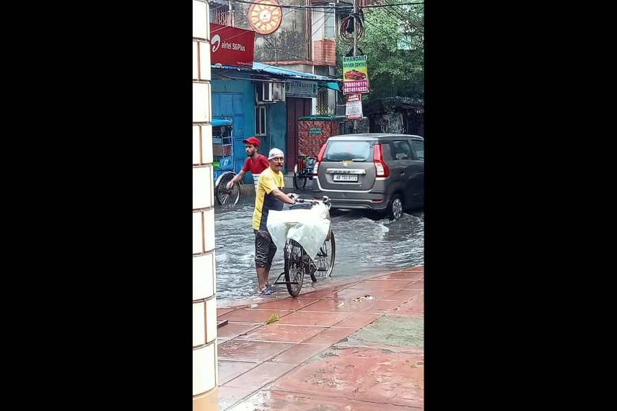 Vendor Arun Sen braves a waterlogged Northern Avenue, Calcutta, to deliver newspapers early on Tuesday.