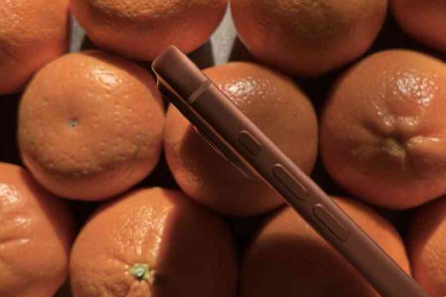 We tested the iPhone 17 Pro Max in Cosmic Orange and noticed how close the colour is to that of oranges. Picture: The Telegraph