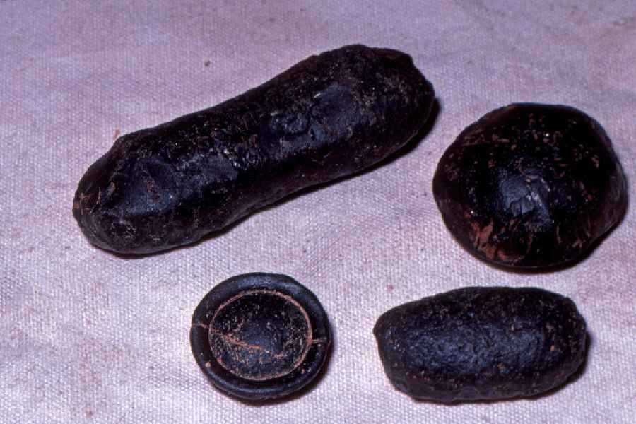 Tektites from in Australia