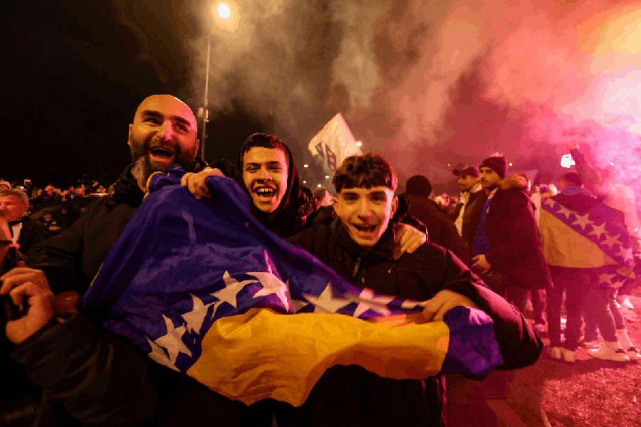 Bosnian supporters