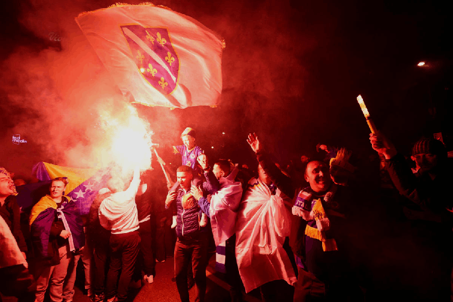 Bosnian supporters