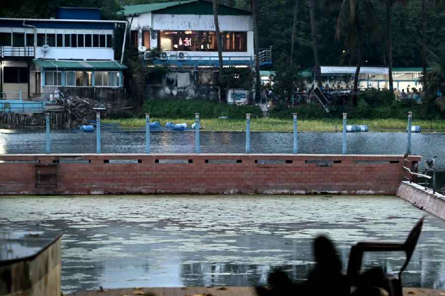 The public swimming pool at Rabindra Sarobar covered in water hyacinth last week.