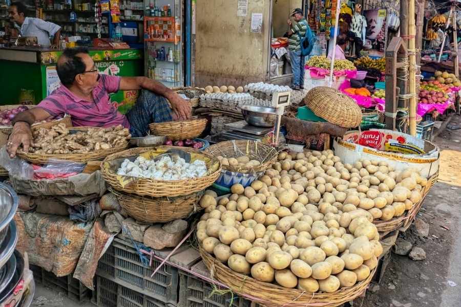 Jyoti is a high-yield variety, and farmers prefer it for its productivity and relatively lower cultivation risk. Chandramukhi's production is lower, but is superior in taste