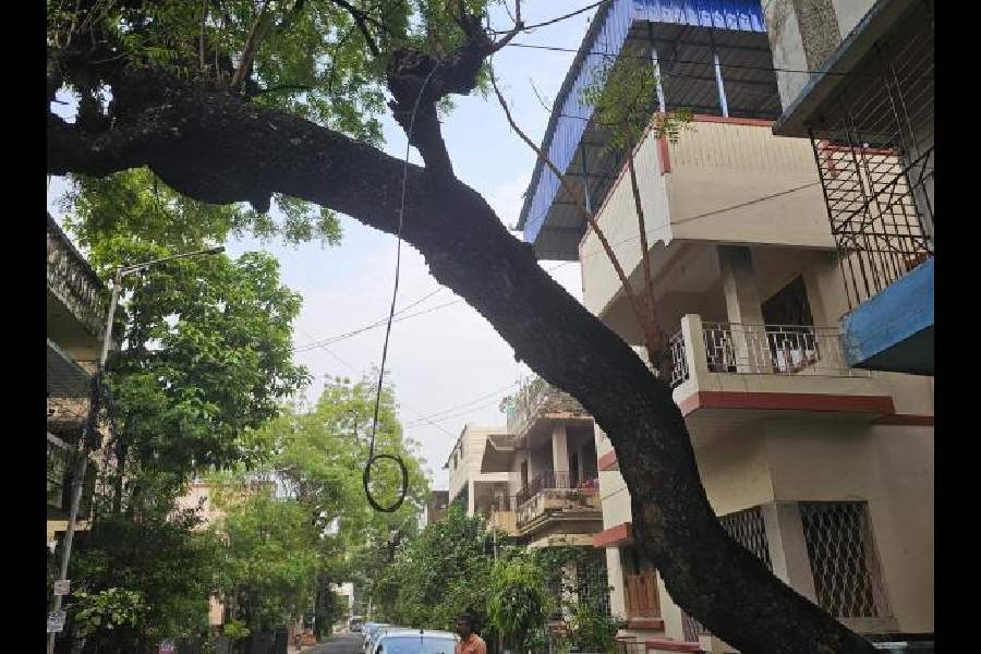 BA Block in Salt Lake