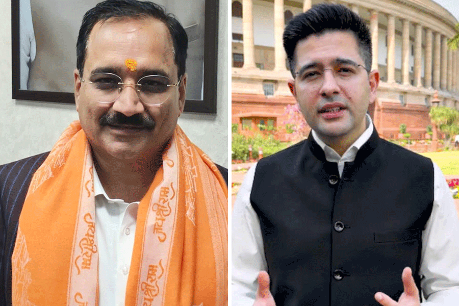 Delhi BJP president Virendra Sachdeva and Raghav Chadha.