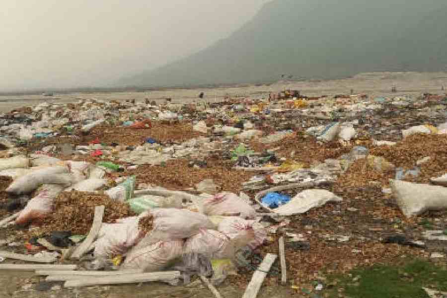 Jaigaon municipal status Assembly polls issue Bengal