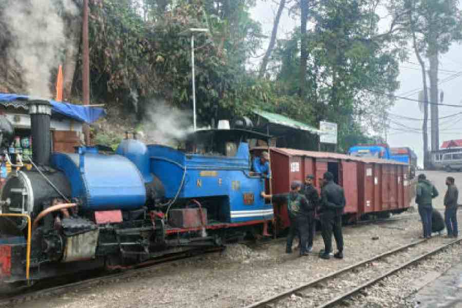 Darjeeling Himalayan Railway revives wagon services