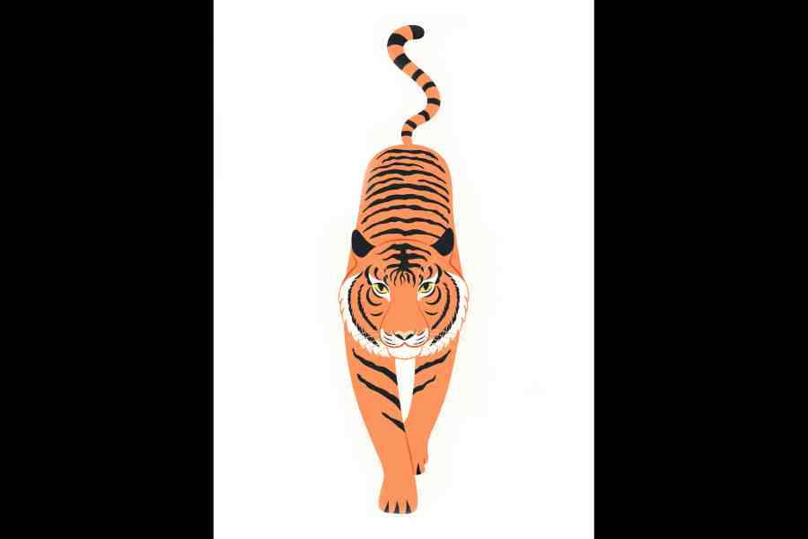 A graphic of a tiger