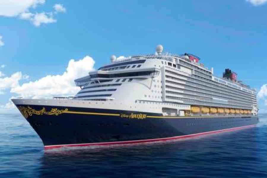 The Disney Adventure 