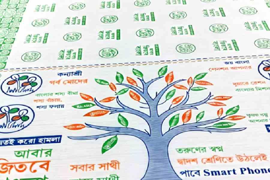 Santipur handloom saris election campaign