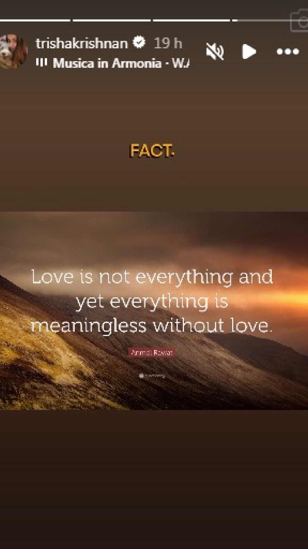 Trisha's Instagram Story