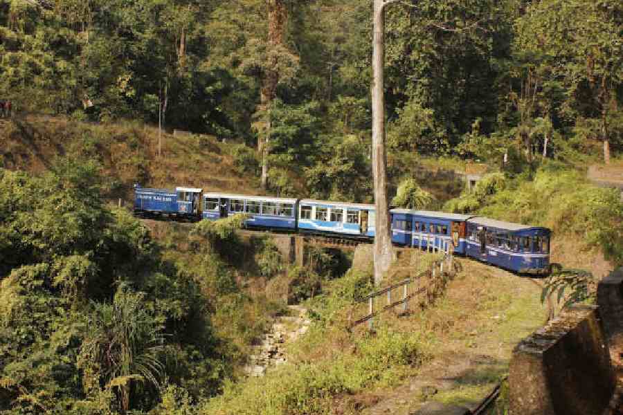 DHR passenger revenue rise 2025-26