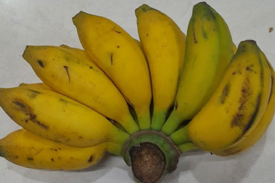 Champa Bananas