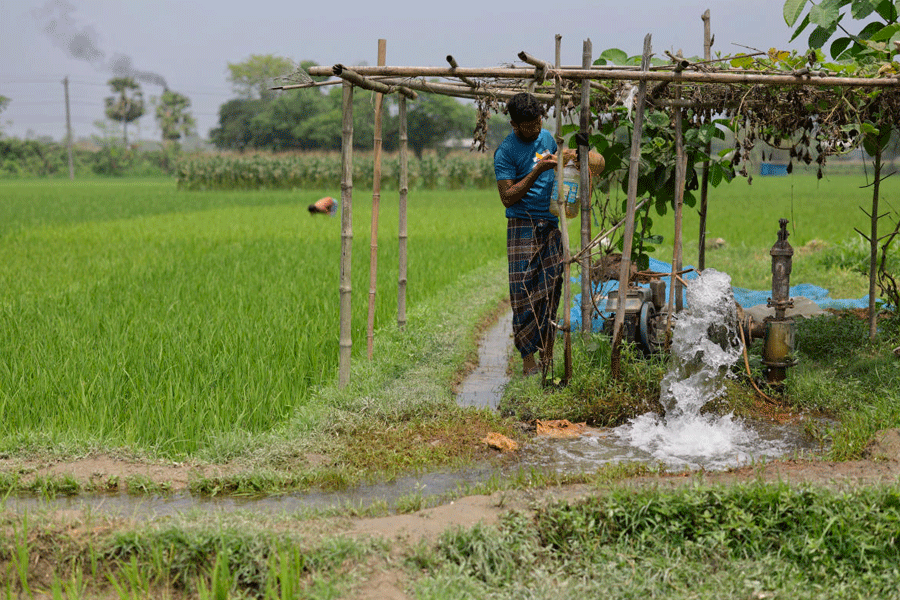 Bangladesh farmer feels pinch as Iran crisis fuels shortages