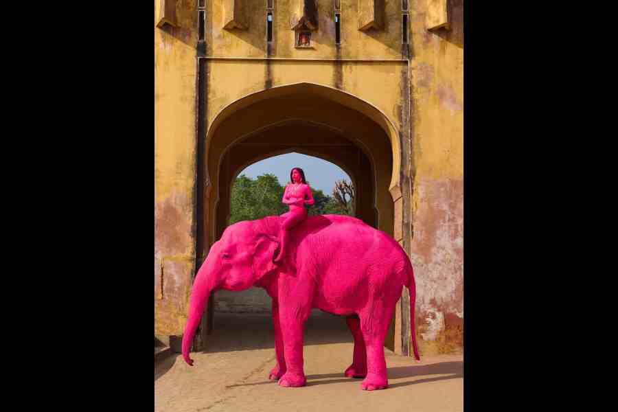 Tourists embark on elephant rides in front of Amer fort.