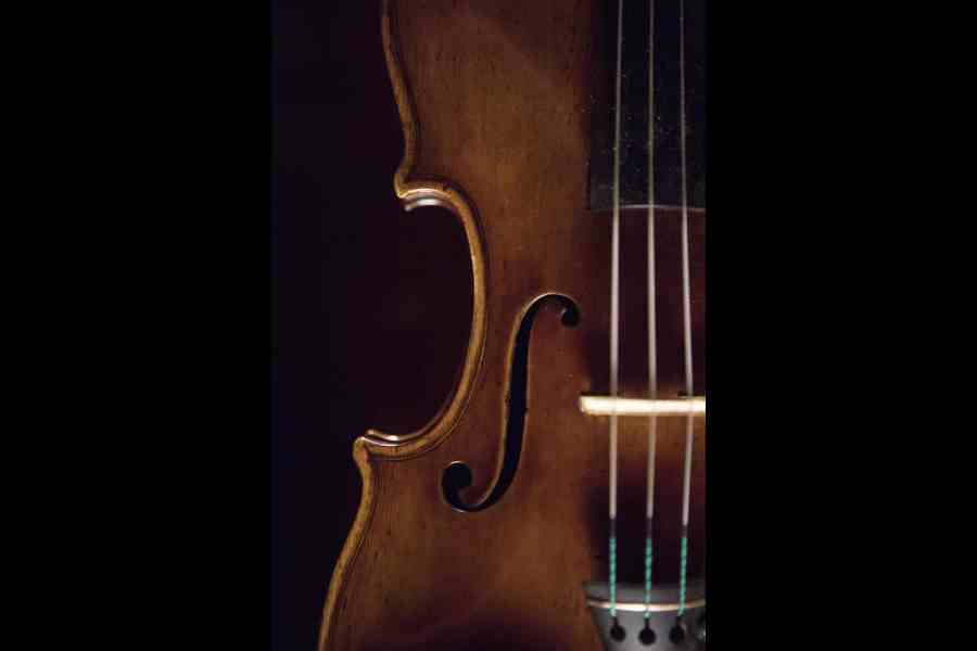 nytns/isabella de maddalena