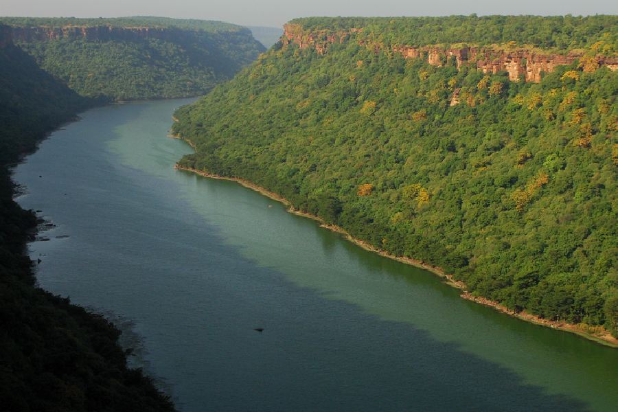 Chambal river