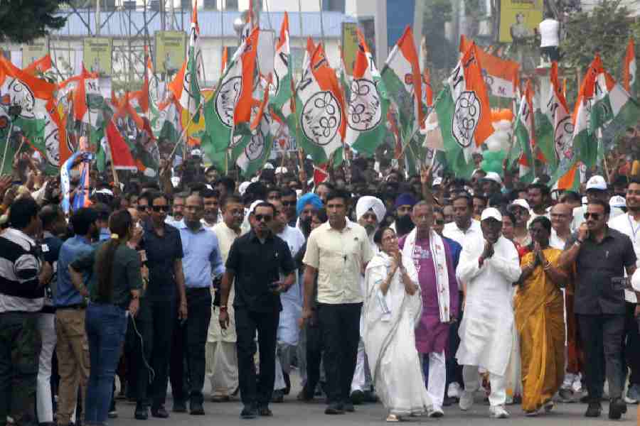 Chief minister Mamata Banerjee at a  road show in Siliguri on Wednesday as part of the campaign for the Assembly polls.