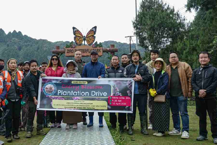 The participants of the cherry blossom plantation drive in Ziro Valley