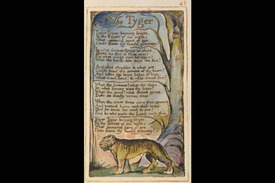 The Tyger, written and illustrated by William Blake