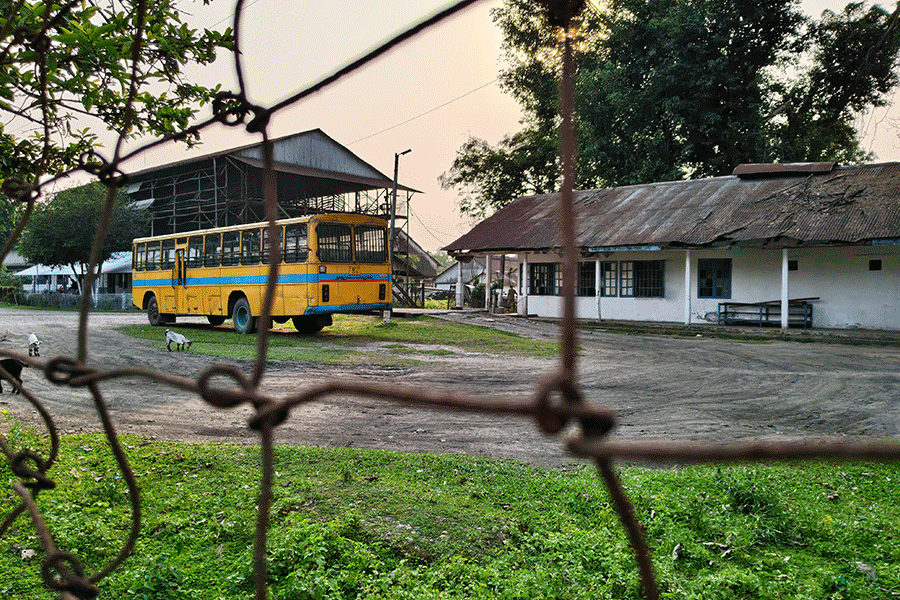 The Baradighi Tea Estate