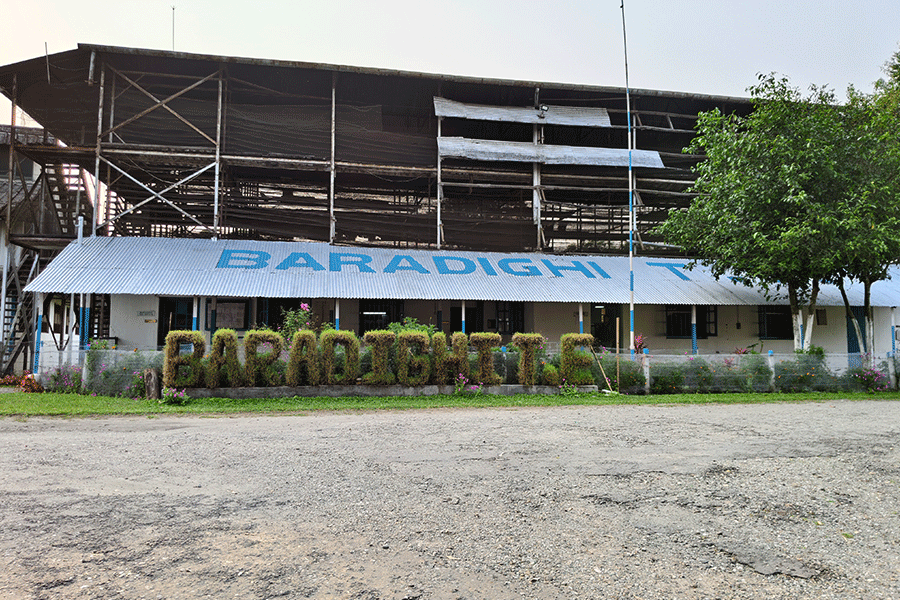 The Baradighi Tea Estate