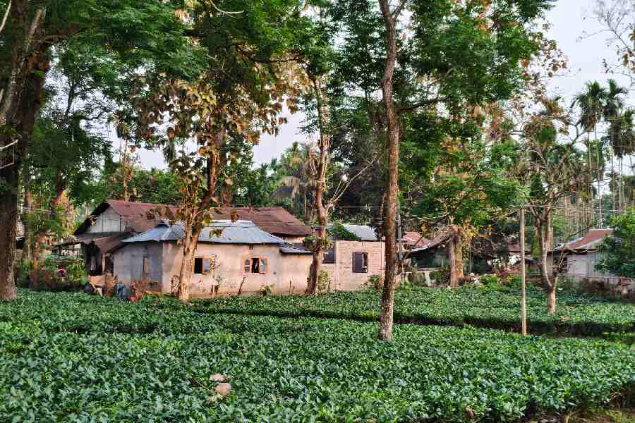 The workers were provided 1500 homes near the lodge.