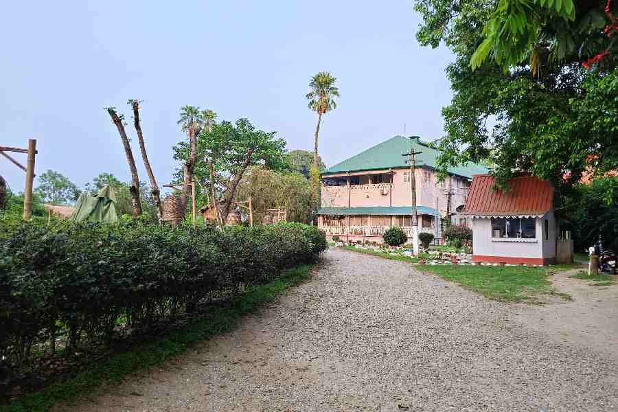 The Tea Estate converted to tourism lodge.