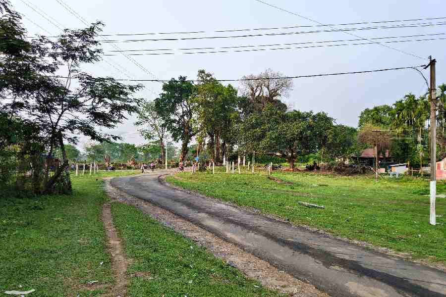 The guests are provided with experience like local tour and tea testing.