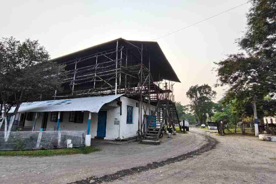 The factory where tea is made.