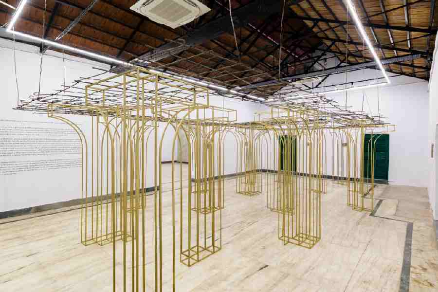 The cage broke, and I found the horizon by Rathin Barman