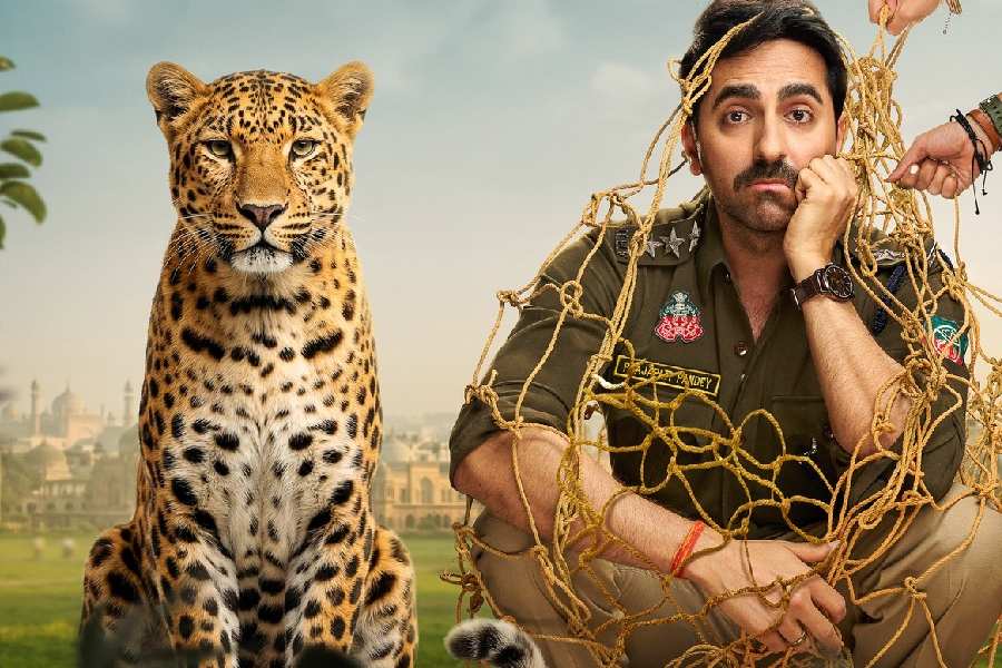 Ayushmann Khurrana in ‘Pati Patni Aur Woh Do’ poster