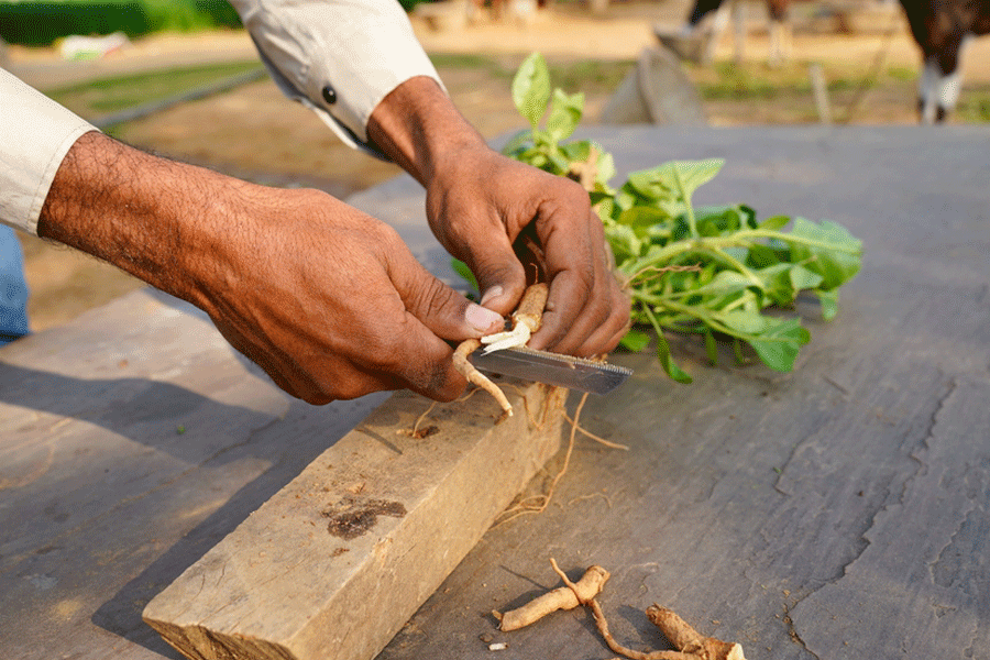 Representational image