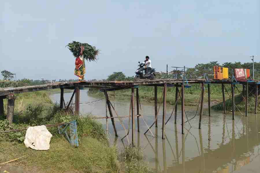Deleted voter Suresh Mahato plucks sponge gourd from his field in Char Jatrasiddhi.