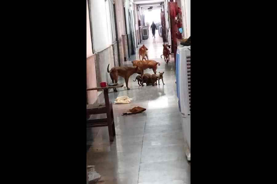 LHMC protest Delhi medical students