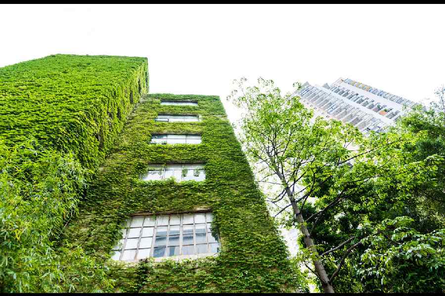 Representational image.