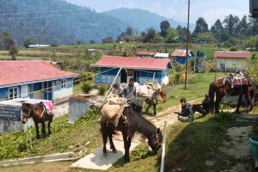 Horses with polling materials reach the Samandan polling station in Bijanbari block of the Darjeeling Assembly constituency on Wednesday. The booth, around 75km from Darjeeling town, has 191 voters