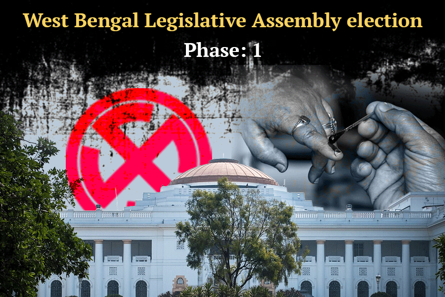 A graphic of a person voting with a white building in the background.