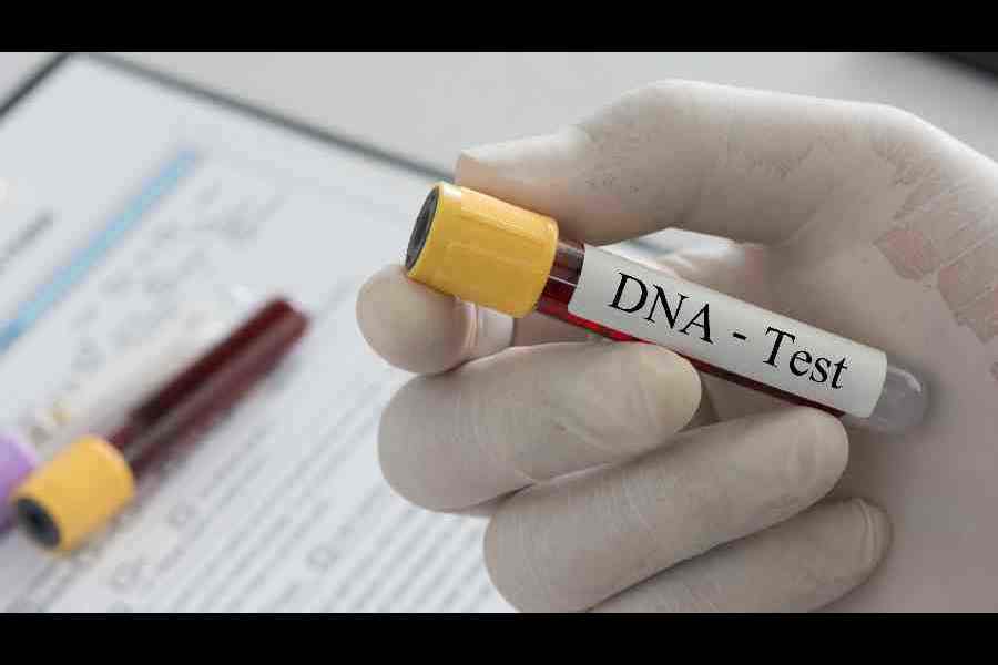 Supreme Court maintenance DNA test paternity ruling