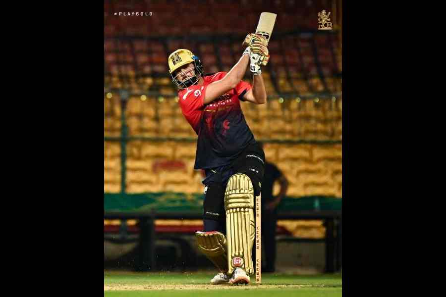 Tim David at training ahead of RCB’s home game 