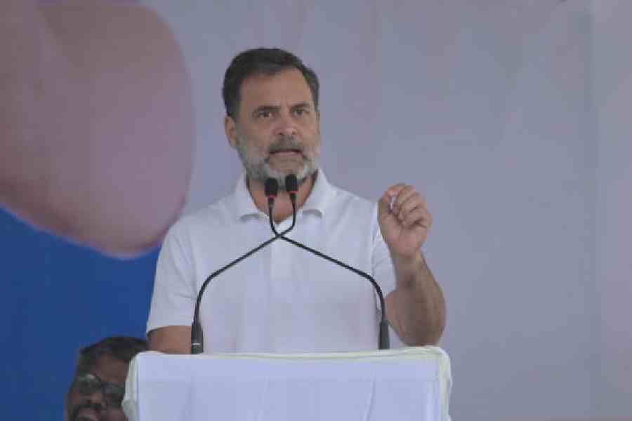 Rahul Gandhi. File picture