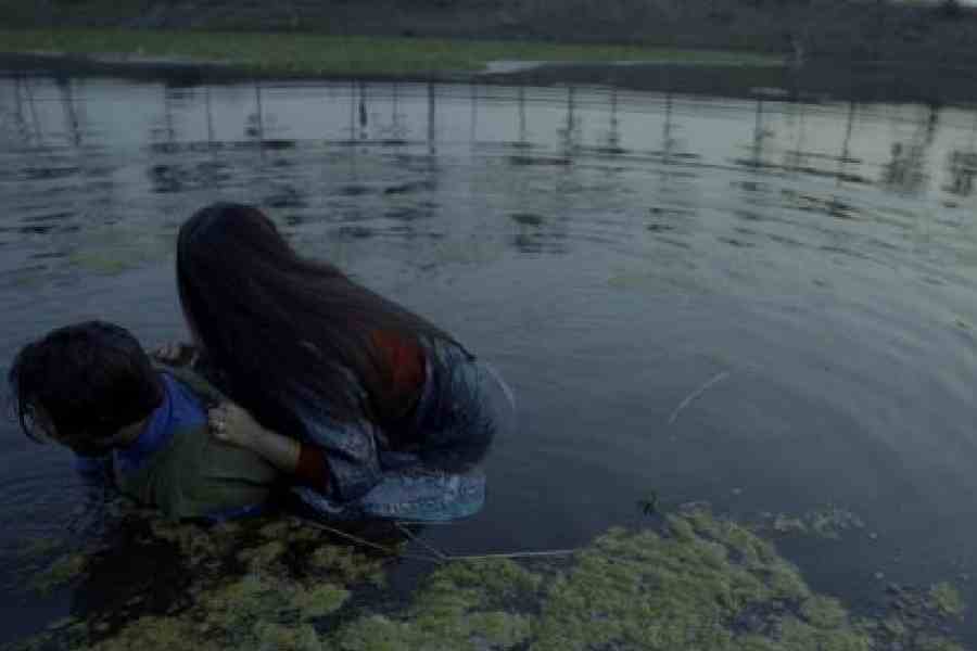 A White Horse’s Neigh