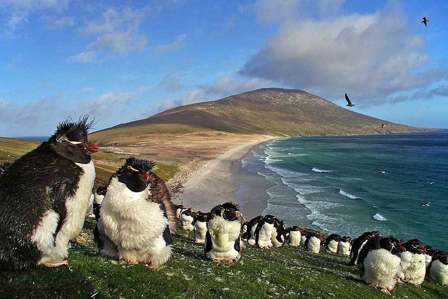 Representational Image