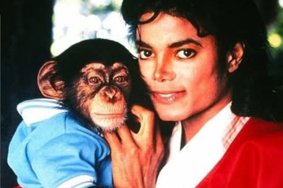 Michael Jackson with his pet chimp Bubbles