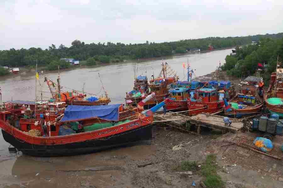 Rough weather hits hilsa catch, prices soar in Bengal